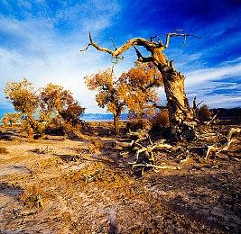 《星空》跳票后 分析师盘点2022年发售的大作