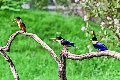 《FIFA 23》登顶2022年英国圣诞节零售榜