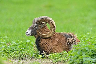 《战锤40K：暗潮》XSX可运行4K60帧 支持在线合作