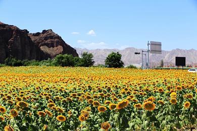 《龙珠：超宇宙2》新DLC追加贝吉塔GT等要素